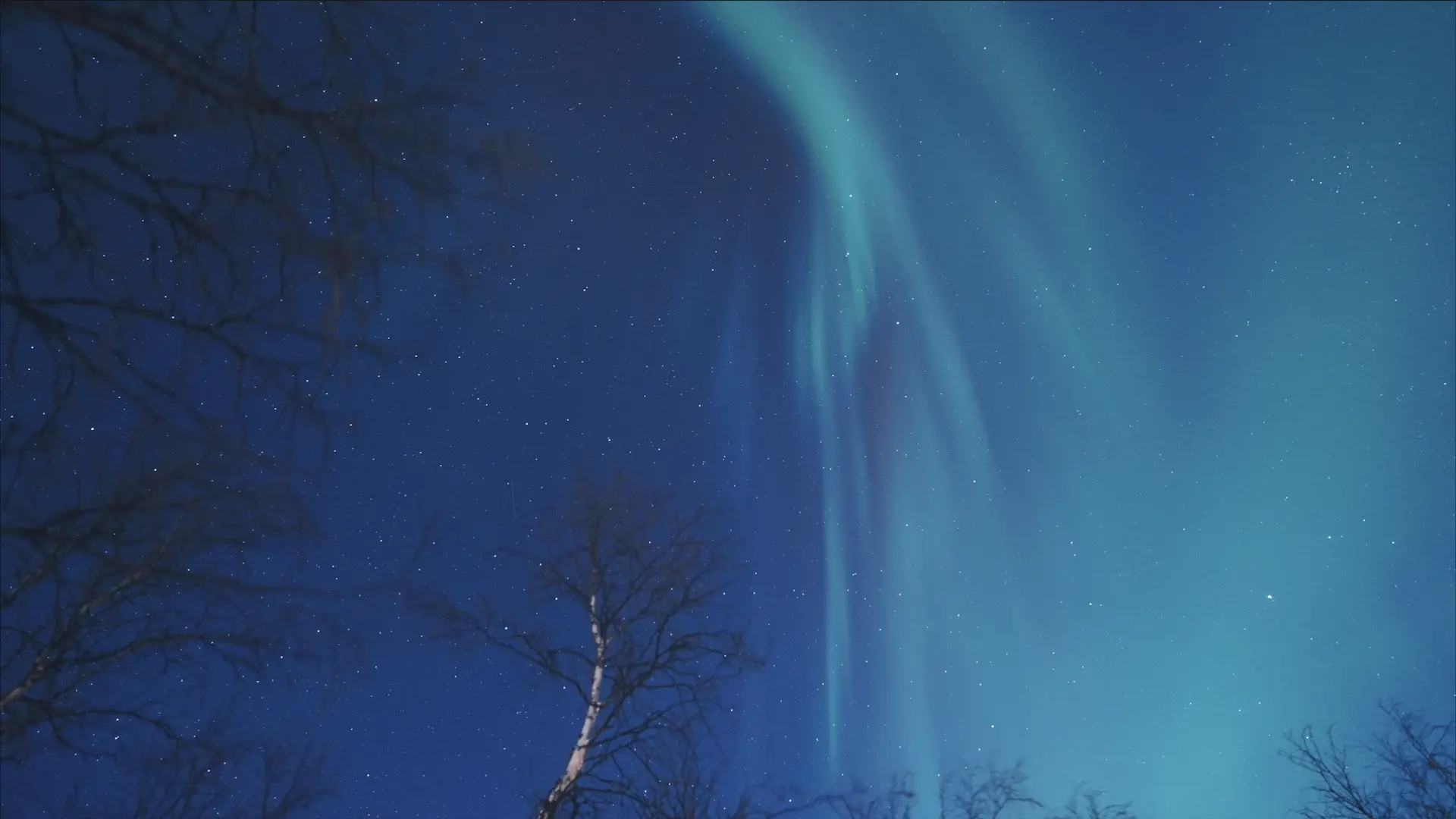 Northern Lights Chase – Tromsø Friluftsenter